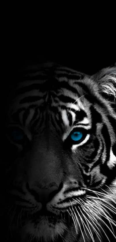 Black-and-white tiger with striking blue eyes on a dark background.