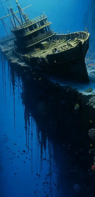 Sunken ship in a vibrant coral-filled ocean crevice with deep blue waters.