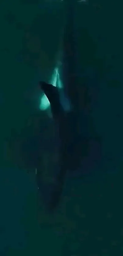 Whale in dark teal water, mystical ambiance.