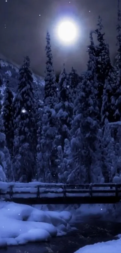 Snowy forest at night with a full moon illuminating the scene.