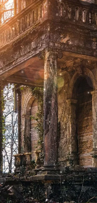 Abandoned gothic mansion wallpaper with sunlit exterior.