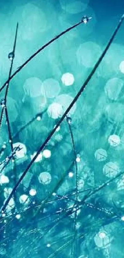 Aqua-themed wallpaper with dewdrop-covered grass and bokeh lighting.