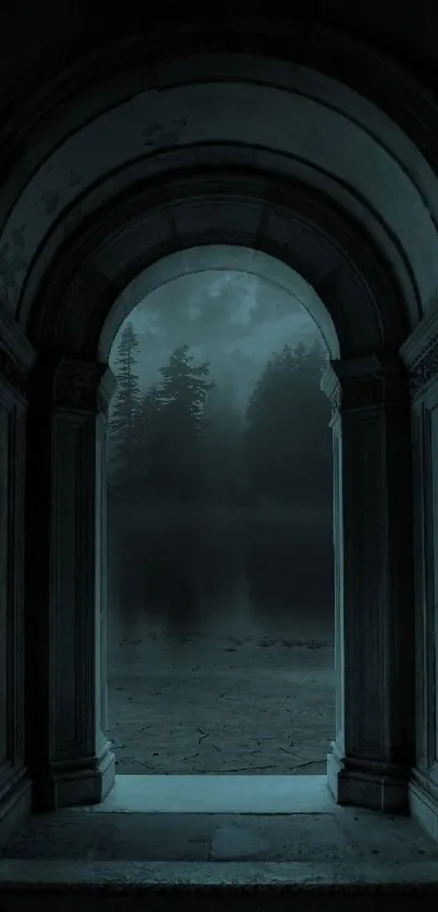 Stone archway leading to a dark, misty forest under a night sky.