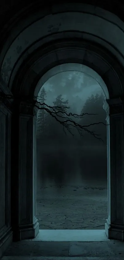 Mystical archway with dark forest and moody night tones.