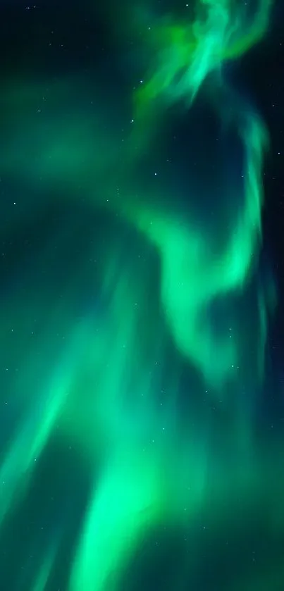 Green aurora borealis lights dance in a starry night sky.