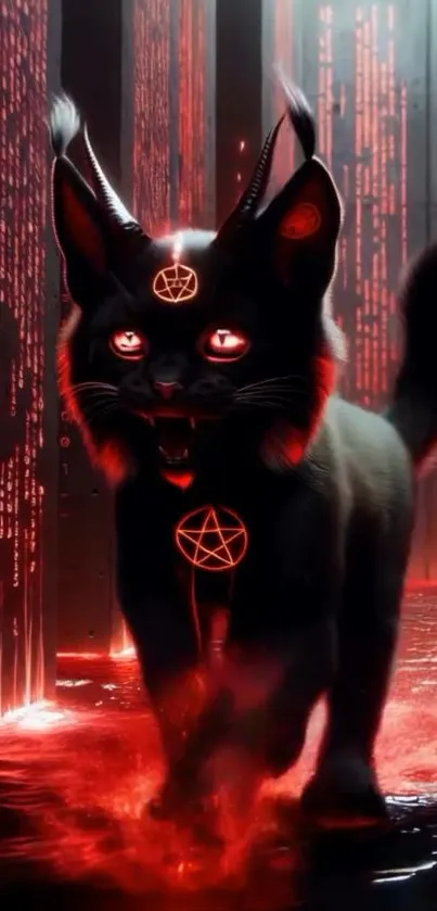 Mystical black cat with glowing red symbols wallpaper.