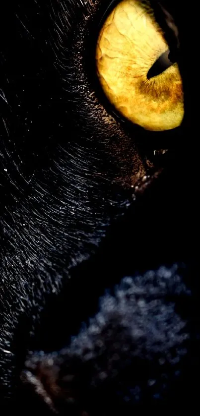 Close-up of a mysterious black cat eye, perfect for mobile wallpaper.