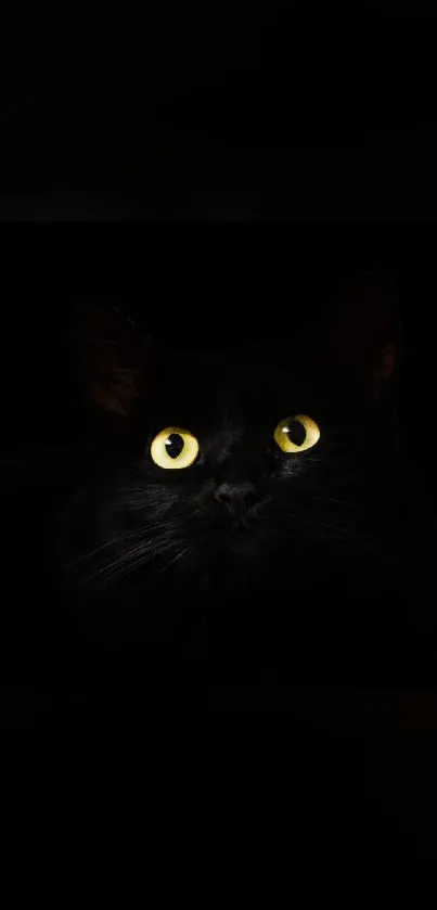 Mystical black cat with glowing yellow eyes on a dark background.