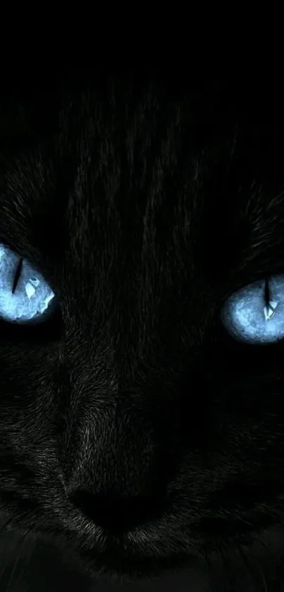 Mobile wallpaper of a black cat with glowing blue eyes.