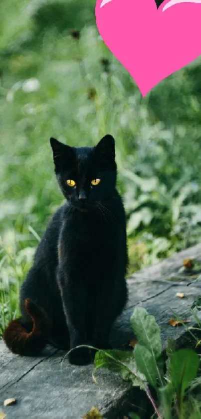 Black cat on green background with a pink heart.