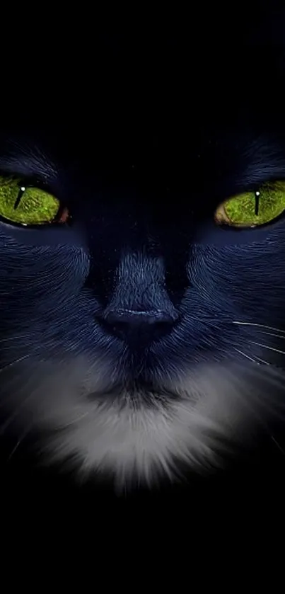 Mystical black cat with green eyes on dark background.