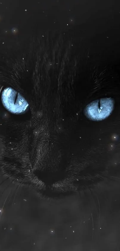 Black cat with blue eyes in dark background, mobile wallpaper.