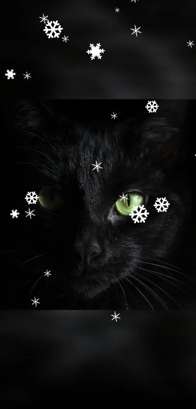 Mystical black cat with green eyes and snowflakes on a dark background.