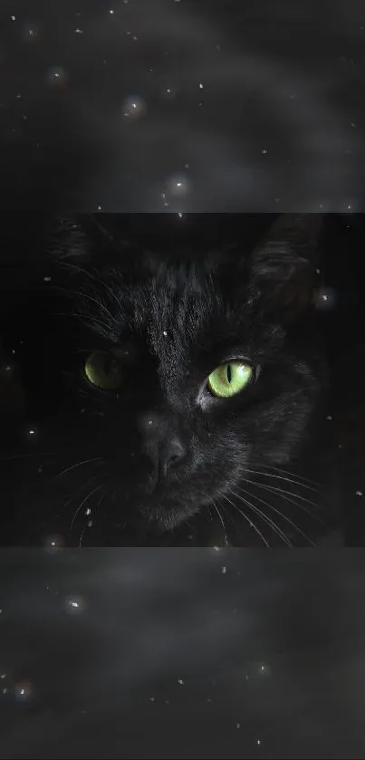 Black cat with green eyes on a dark starry background wallpaper.