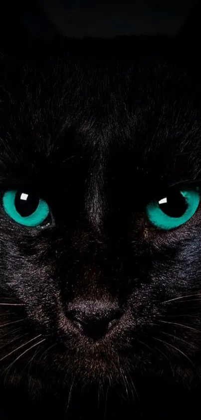 Close-up of a black cat with striking green eyes on a dark background.