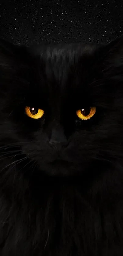 Mystical black cat with glowing golden eyes on a dark background.