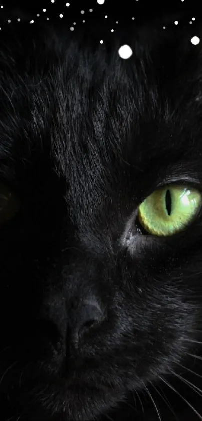 Dark black cat with green eyes in a mysterious setting.