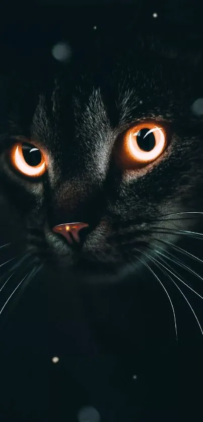 Mystical black cat with glowing eyes on a dark background wallpaper.