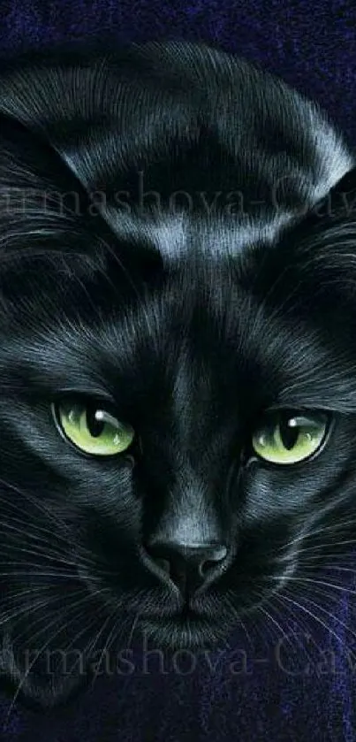 Black cat with green eyes on indigo background.