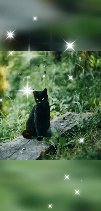 Black cat on forest path with sparkling lights, mystical vibe.