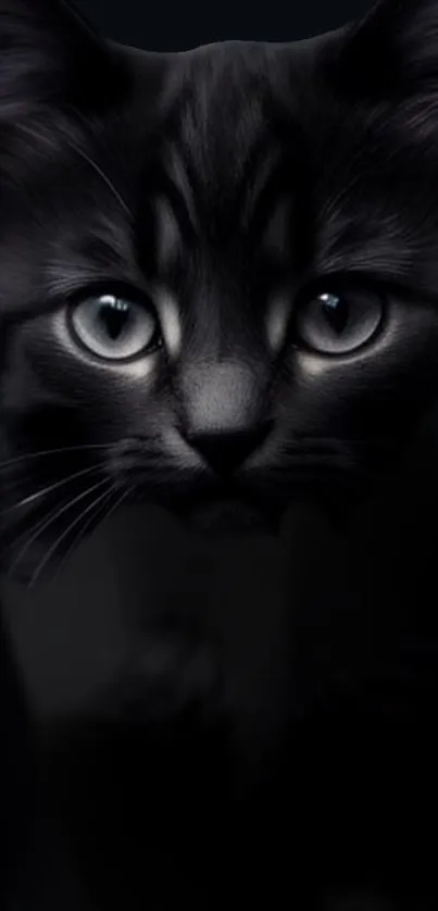 A sleek black kitten with striking eyes in a dark, mystical mobile wallpaper.