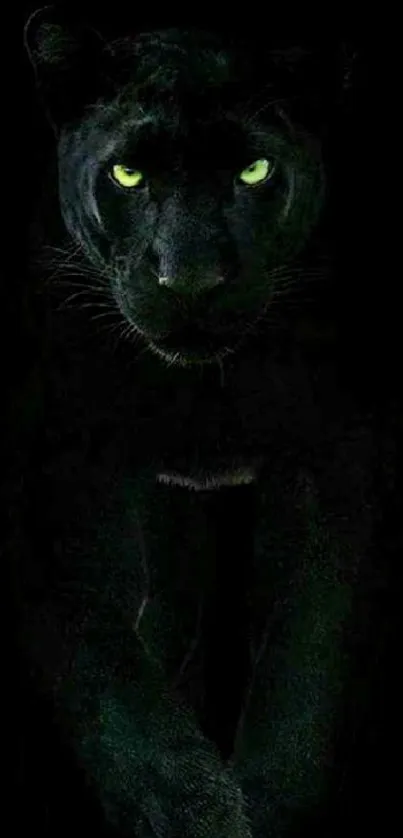 Black panther with glowing eyes on a dark background, mobile wallpaper.