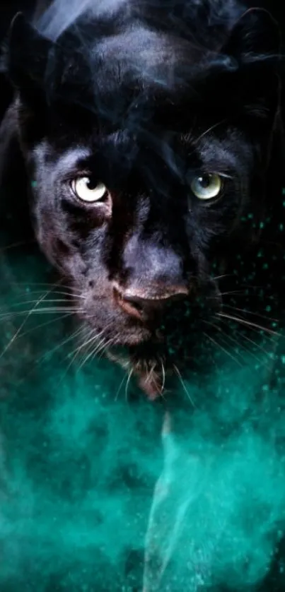 Mystical black panther with teal fog background.