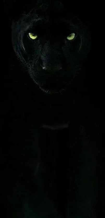 Black panther with glowing eyes in dark background wallpaper.