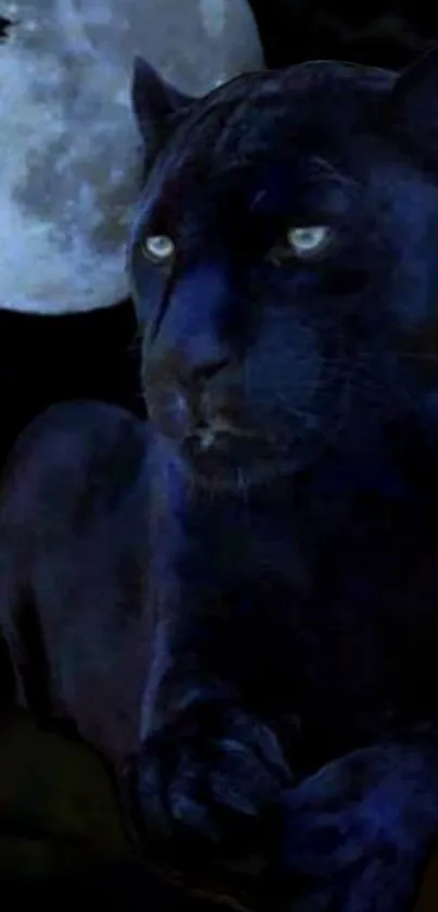 Black panther under a moonlit sky.