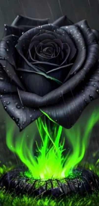 Black rose with green flames in rain, HD wallpaper.