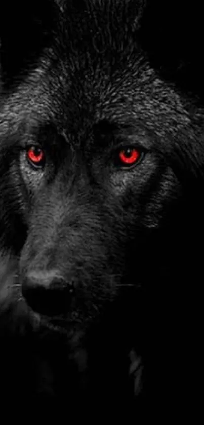 A mystical black wolf with red eyes, ideal mobile wallpaper.