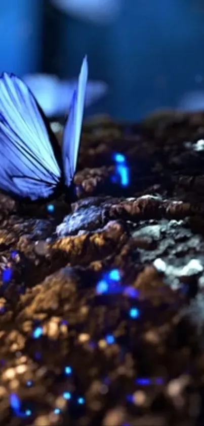 Blue butterfly in glowing mystical setting.