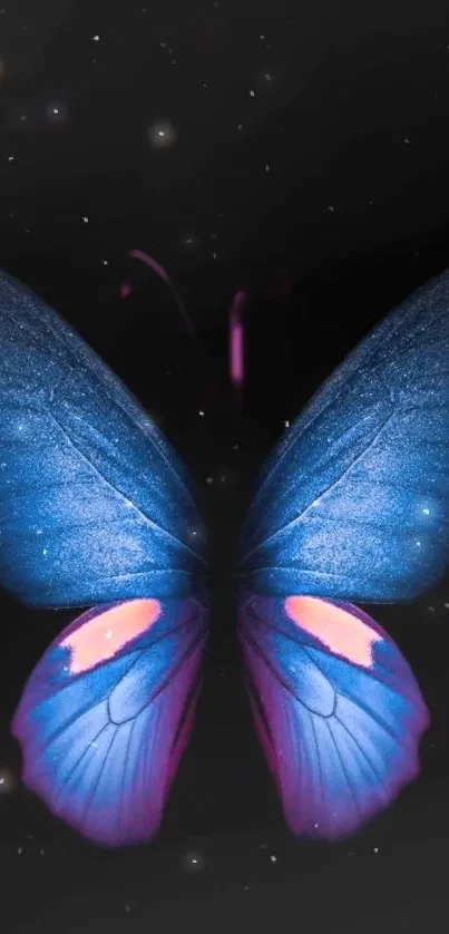 Dark background featuring a glowing blue butterfly with vibrant wings.