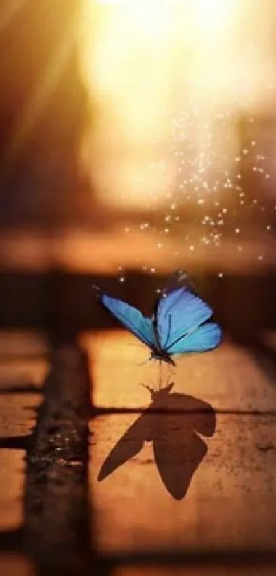 A mystical blue butterfly basking in warm golden sunlight on a soothing background.