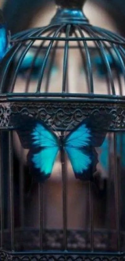 Blue butterfly resting on an ornate cage, surrounded by dim lighting.