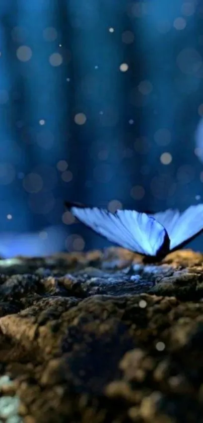 A mystical blue butterfly rests in a serene forest setting.