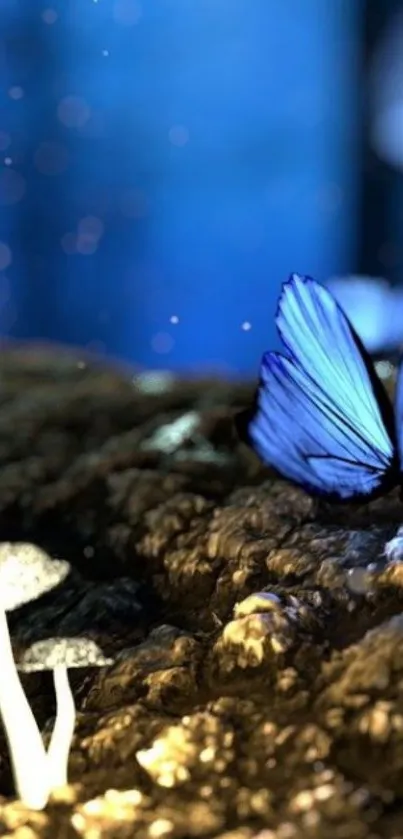 Blue butterfly on earthy surface with glowing fungi.