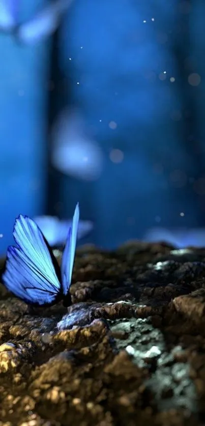 A mystical scene featuring a blue butterfly on a rock in a forest setting.