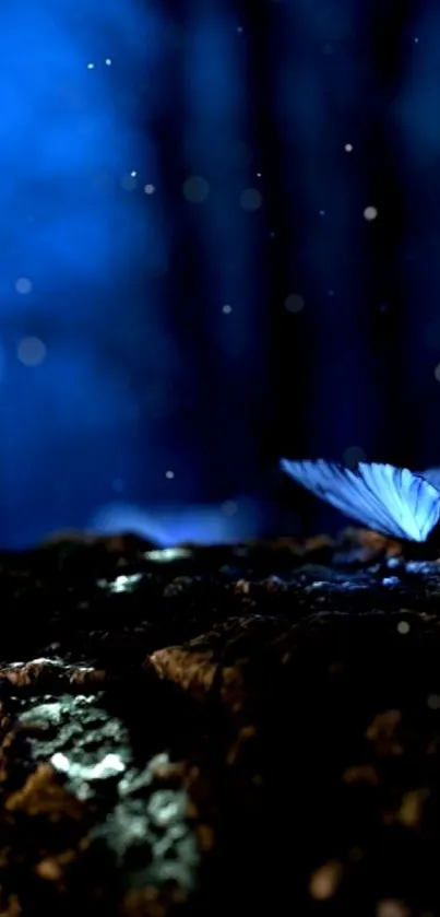 Blue butterflies glow in a mystical, dark forest setting.