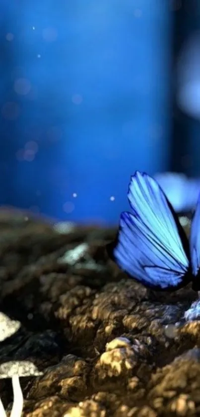 Blue butterfly on glowing forest floor wallpaper.