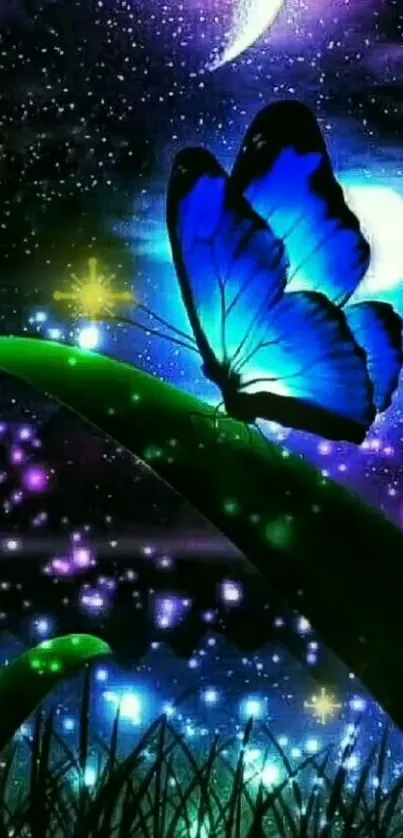 Blue butterfly on leaf with a starry night sky.