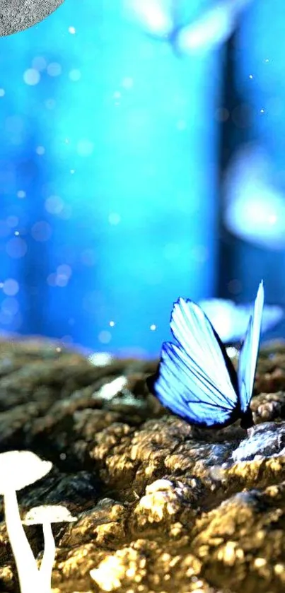 Blue butterfly resting on a forest floor amid moonlight.