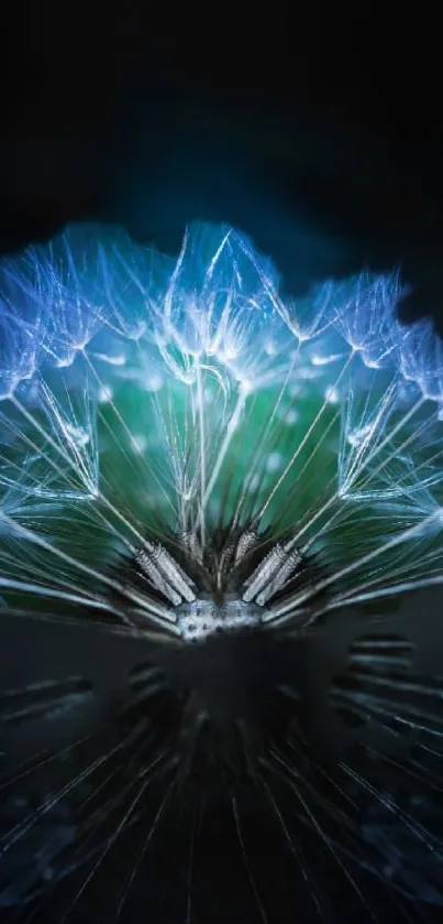 Mystical blue dandelion with glowing effect on a dark background.