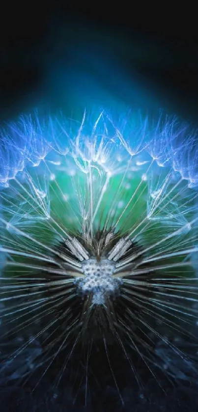 Mystical blue dandelion with glowing feathers on dark background.