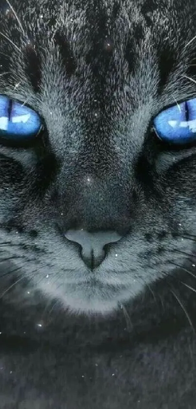 Close-up of a mystical cat with striking blue eyes.