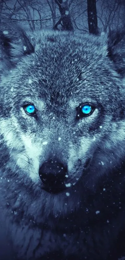 Blue-eyed wolf in snowy forest mobile wallpaper.