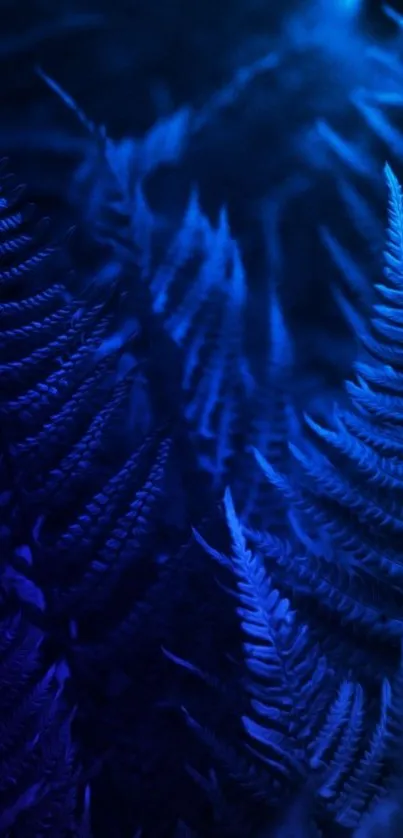 Deep blue fern leaves create a mystical phone wallpaper.