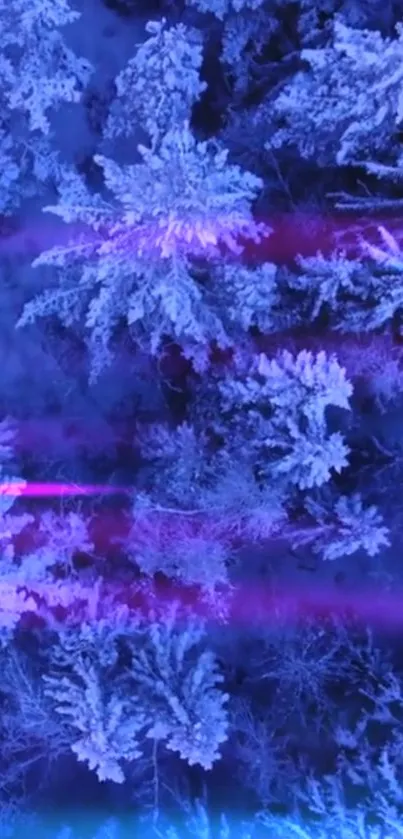 Ethereal blue forest with purple hues and snowy trees.