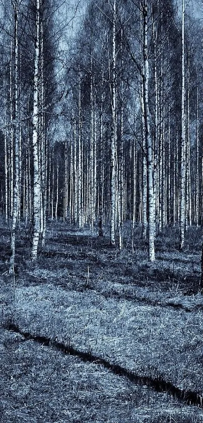 Mystical blue forest with bare trees in a serene landscape.