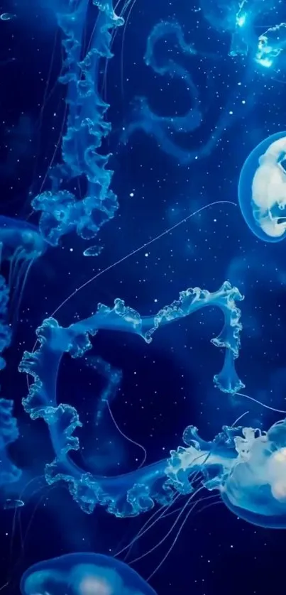 Illuminated blue jellyfish gracefully floating in dark ocean waters.